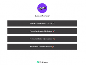 Biographie Instagram : comment intégrer plusieurs liens
